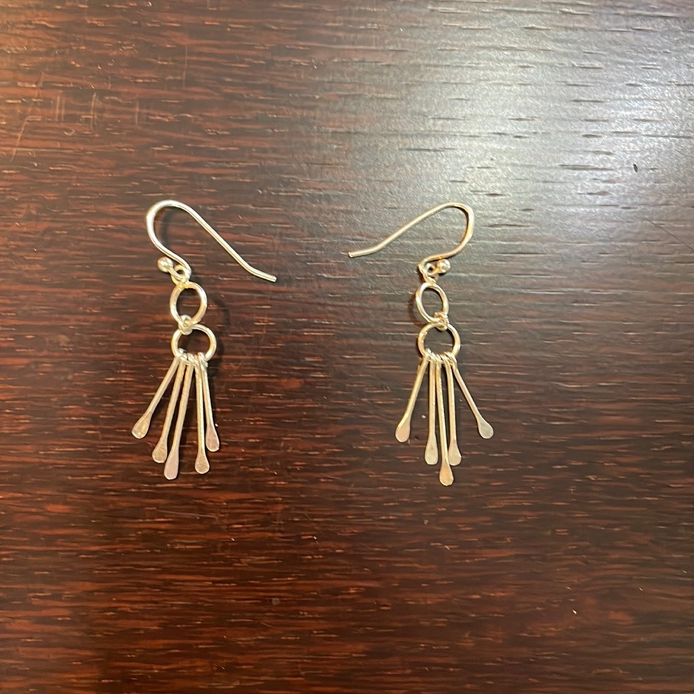 Beautiful pair of silver earrings